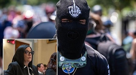 NYC councilwoman wants ski masks banned because anonymity 'emboldens' criminals to 'cause chaos'