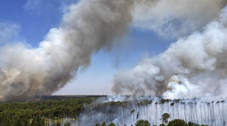 A Continent Ablaze: South America Surpasses Record for Fires