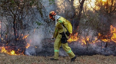 Brasil registra más de 7.300 incendios forestales en 48 horas, según cifras oficiales