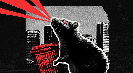 I joined an 'elite squad of anti-rat activists.' It was even creepier than I expected.