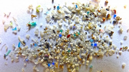 Nearly .05% of Your Brain Is Likely Microplastic, Brain Samples Reveal