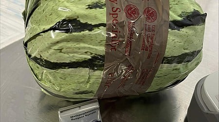 Methamphetamine disguised as shipment of watermelons seized at US-Mexico border in San Diego