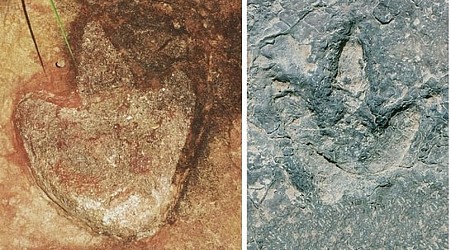 Matching dinosaur prints were found an ocean apart in Africa and South America