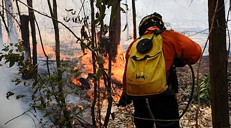 Brazil braces for more fires amid extreme low humidity