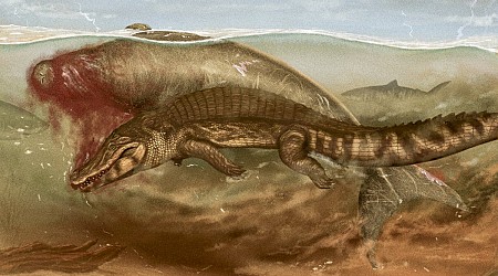 This Ancient Sea Cow Was Killed by a Croc and Eaten by a Shark