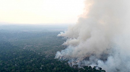 Amazonasgebiet: So viele Brände wie seit vielen Jahren nicht mehr