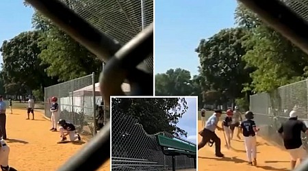 Tree crashes down on Little League dugout in New Jersey