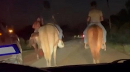 Horseback Road Rage Shooting Is So Very Texas