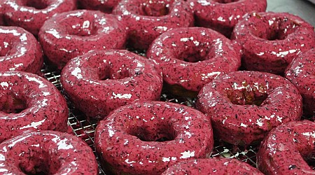 I tried popular flavors at one of the most famous doughnut shops in Maine. I'd travel miles just for the blueberry glazed.