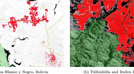 National parks and other protected areas often fail to conserve Earth's forests, research finds