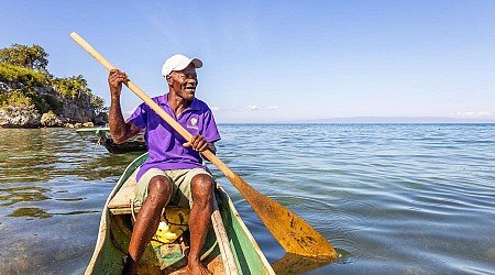 How Can Saving Mangroves Help Improve Lives In Haiti?