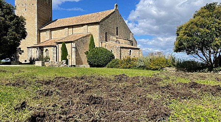 Vaucluse. Des sangliers en ville : « Ils ravagent tout sur leur passage »