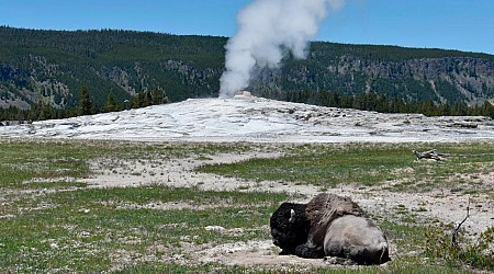 Yellowstone tourist suffers 3rd-degree burns after leaving trail