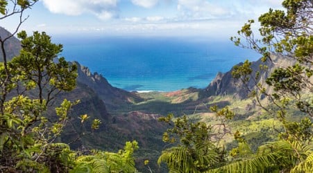 Hawaii hikers report exploding guts as norovirus outbreak hits famous trail