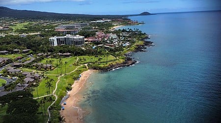 Couple on 'Babymoon' Drowns Snorkeling in Maui