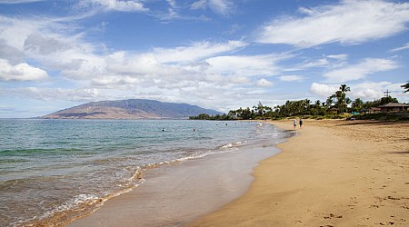 Couple dies while snorkeling during Hawaii babymoon, leaving behind 18-month-old son