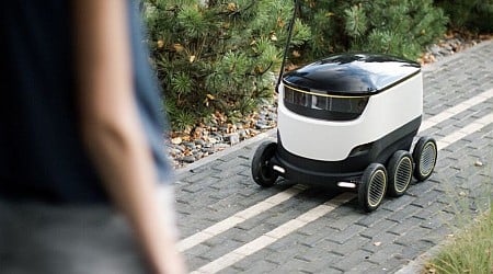 You might get offered promo codes if one of these delivery robots runs into you