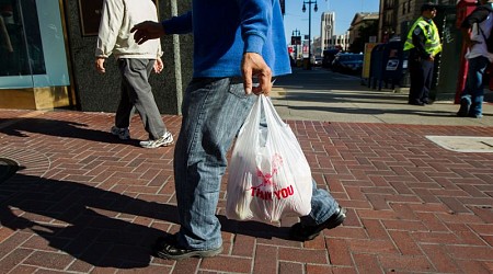 California governor signs law banning all plastic shopping bags at grocery stores