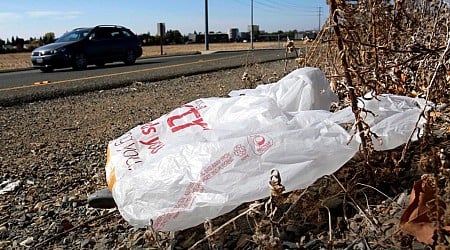 California governor signs law banning plastic shopping bags