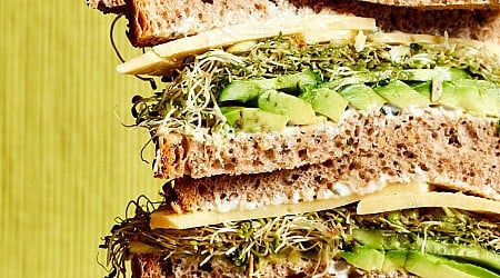 The best sandwich recipes