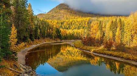 Montana’s Aspens Are Turning Gold. Here’s Where to See the Best Foliage in the State