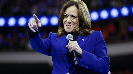 Kamala Harris Gets Good News in Swing State, Poll Shows