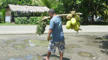 Breadfruit Is Here to Save the World