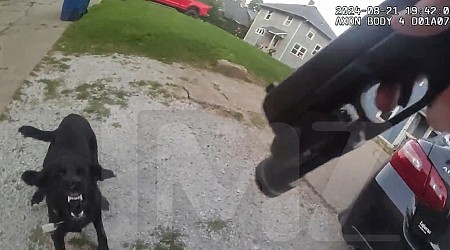 Iowa Dog Shooting Cop Body Cam Video Released, Dad Wants Officer in Jail