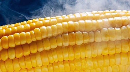 What the heck is “corn sweat” and is it making the Midwest more dangerous?