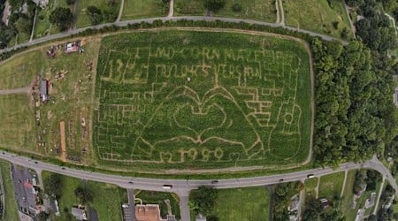 Taylor Swift Corn Maze Open In Gambrills