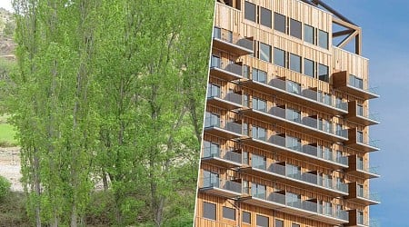 Hemos desarrollado una alternativa al hormigón para revolucionar las construcciones sostenibles: madera transgénica