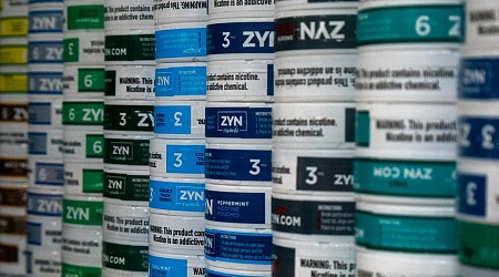 The Confusing and Extremely Online Politics of Zyn Nicotine Pouches