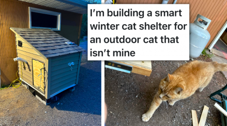 Kindhearted Hooman Engineer Builds "Smart" Shelter for Nearby Stray Cat, Claims the Cat 'Isn't His', But the Fluffy Feline Disagrees