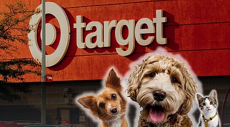 New Stanley Bowls for Pets Now at Minnesota-Based Target Stores