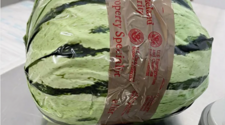 Customs officers find $5M worth of meth disguised as watermelons at Mexico border