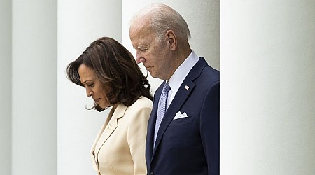 Despite apparent fraud discovery, Biden-Harris admin to restart controversial immigration program