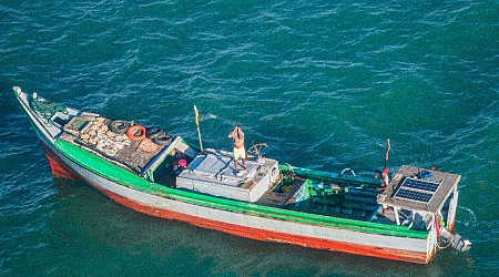 En Guyane, une étude inédite confirme la forte augmentation de la pêche clandestine