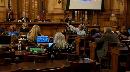 More partisan sparring at Georgia election board following controversial hand-counting rule and TV interviews