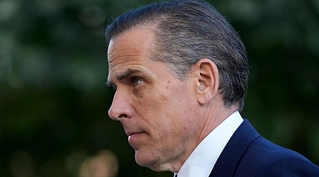 US-Justiz: Zum Schutz der Familie? Hunter Biden bekennt sich schuldig