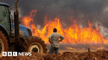 Cities on high alert as Brazil wildfires kill two