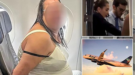 Drunk passenger on Brazil flight cuffed after screaming plane was on fire and doomed to crash