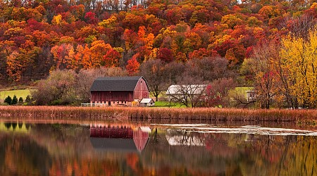 5 stunning fall foliage road trips in the Midwest