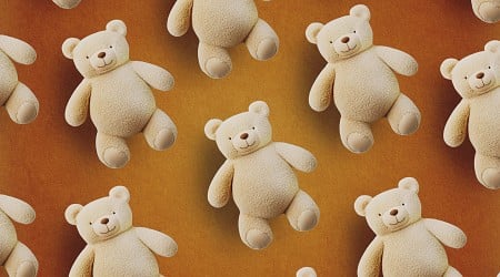 How Did the Teddy Bear Get Its Name?