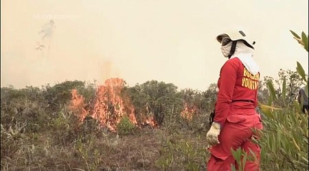 At least 15 dead and thousands hectares scorched as wildfires sweep Peru