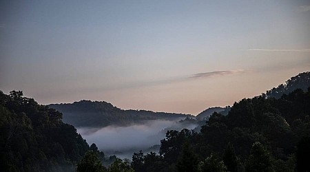 Remains found in Daniel Boone National Forest identified as Kentucky woman missing since 2016