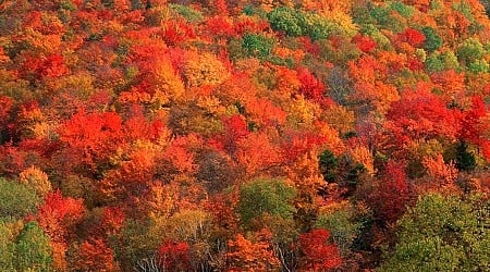 This Boutique Hotel In Vermont Has Launched A Fall Foliage Hotline