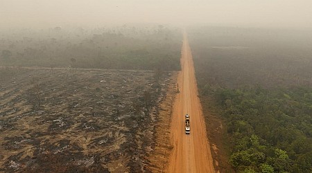 NGO-Bericht: Fast 200 Umweltschützer 2023 getötet