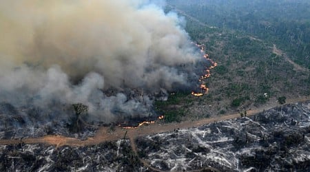 Amazon forest has lost an area the size of Germany and France