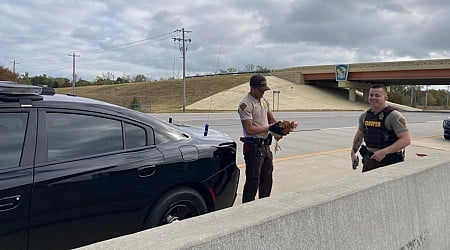 Chickens that fell from truck rescued on Oklahoma highway