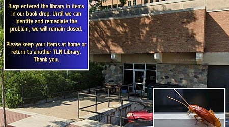 Michigan library shuts down after bugs burst out of DVD case in book return box